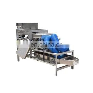 Badam Peanut Strips Cutting Almond Grading Machine Peanut Slicer Machine thumbnail-7