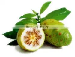 First Quality Noni Powder Exporters thumbnail-1