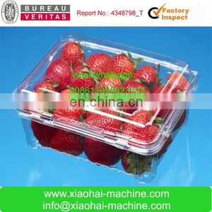 Plastic Tray Thermoforming Food Container Machine thumbnail-1