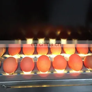 Small Capacity Egg Grader Machine thumbnail-4