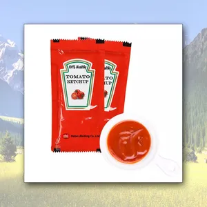 High Quality Organic High Concentrated Fresh Ketchup Sauce Sweet Sour Taste 12 Months Shelf Life Wholesale Bulk Supply Tomato thumbnail-1
