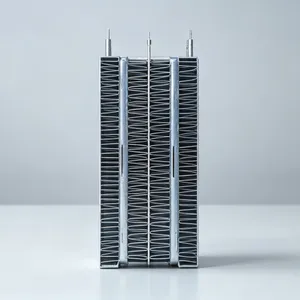 PTC Heater thumbnail-2