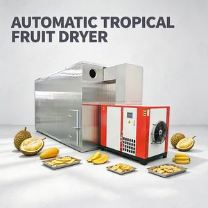 Automatic Durian Jackfruit Dryer Machine Commercial Fruit Drying Oven for Tropical Fruit Dehydration Production EPC thumbnail-1