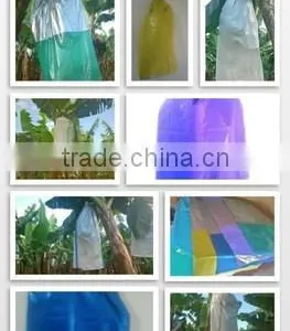 Silver Printed Banana Bunch Cover Bag thumbnail-1