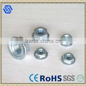 Carbon Steel Flange Nuts Exporter thumbnail-1