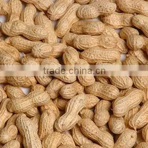 Organic Peanut Kernels 24/28 28/32 34/38 38/42 thumbnail-1