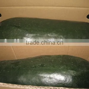 Chinese Fresh Winter Melon Fresh Wax Gourd Export thumbnail-2