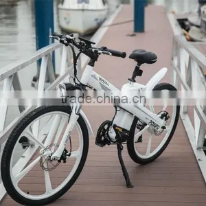 Hot Sale EN 15194 Electric Bicycle With Motor Front Mag Wheel thumbnail-3