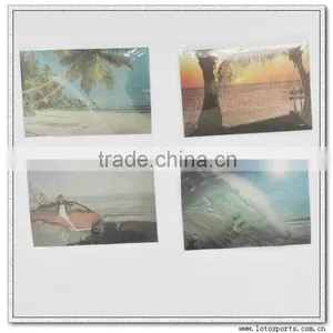 2012 Colorful Polarized Test Card for Polaroid thumbnail-1