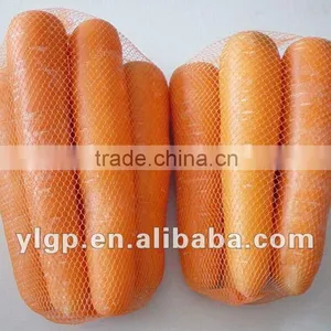 Carrot thumbnail-1