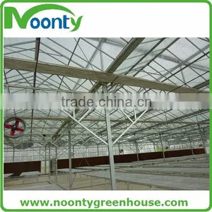 Commercial Glass Greenhouse thumbnail-5