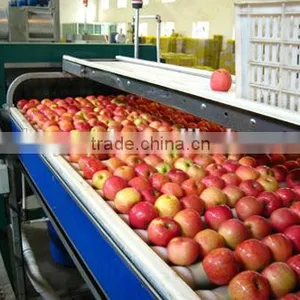 Apple Juice Processing Line thumbnail-1