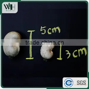Hot Sale Vietnam Dry Cashew thumbnail-3