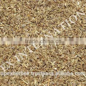 Dill Seeds TBC thumbnail-3