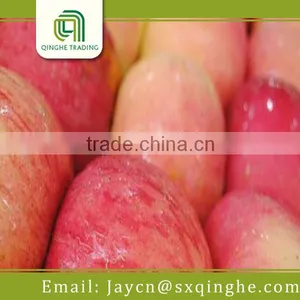 Apple Fuji, Red Delicious Apple Fruit Export thumbnail-1