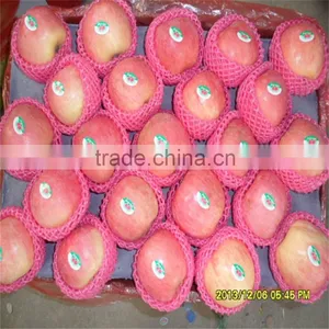 Best Price Fresh Thin Peel Fuji Apple thumbnail-3