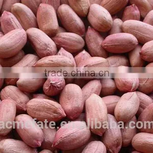 New Production Big Size Blanched Peanut Kernels(ground Nut Seeds) thumbnail-5