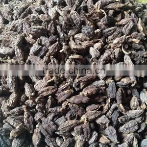Vietnam Black Cardamom thumbnail-2