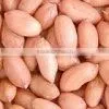 Peanuts Kernel thumbnail-1