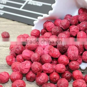 Freeze Dried Crunchy Cranberry Whole thumbnail-1