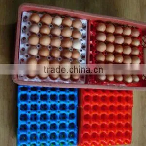 Plastic Egg Tray Making Machine Supplier thumbnail-1