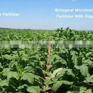 Biological Microbial Compound Fertilizer With Organic Matter thumbnail-4