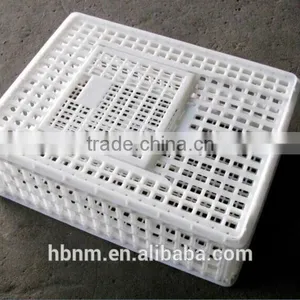 China Best Price Plastic Chicken Transport Cage for Poultry Farms thumbnail-5