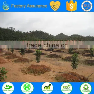 Ts Irrigation Designed Drip Irrigation System for Tree in Watering Kits thumbnail-2