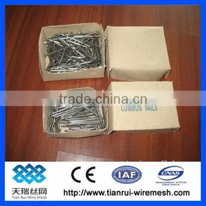 Common Nail/polished Nail/galvanized Nail thumbnail-2
