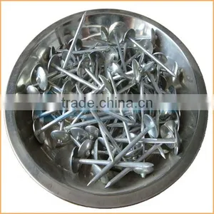 Top Quality Roofing Nails/clout Nails Trusted Chuanghe Suppliers From Com thumbnail-1