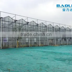 Multi-span Glass Tunnel Greenhouse thumbnail-5