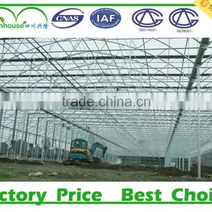 High Quality Auto Blackout Multi Span Greenhouse for Sale thumbnail-6