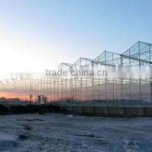 Glass Greenhouse-8 thumbnail-1