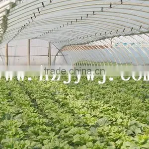 Sunlight Greenhouses thumbnail-1