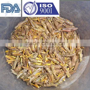 Pet Bird Food Vacuum Dried Grasshopper thumbnail-1