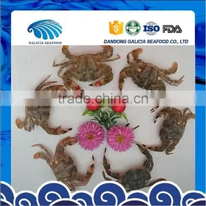 Frozen Half-cut Mud Crabs thumbnail-1
