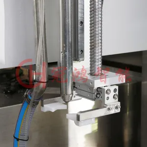 Double Heads Tracking Type Servo Piston Filling Machine thumbnail-2