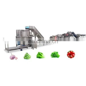 Commercial Vegetable Dehydrating Processing Line thumbnail-1
