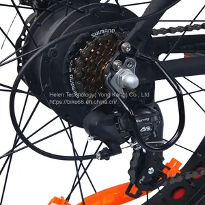 1000W Big Power Electric Folding Bike Electric Bicycles thumbnail-4