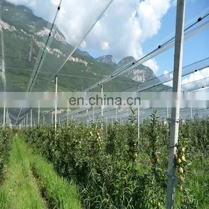 Agricultural HDPE Anti Hail Net Screenhouse for Plants Protection Fruit Apple Tree thumbnail-3