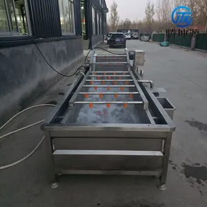 Fruit & Vegetable Bubble Washing Machine Seafood Fruit Vegetable Cleaning Equipment Vegetable Processing Line thumbnail-4