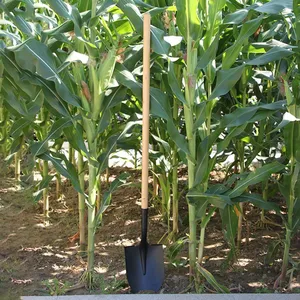 Farm Shovel Carbon Steel for Farm Tool Wholesalers in Africa Factory OEM Export Service for Farm Digging and Soil Turning thumbnail-2