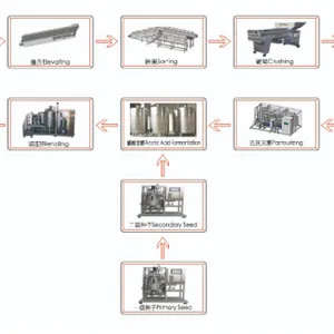 Turkey Project Apple Fruit Wine Vinegar Production Line thumbnail-5