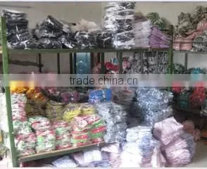 Shenzhen Petop Pet Products Co., Ltd. company overview - view 2 thumbnail