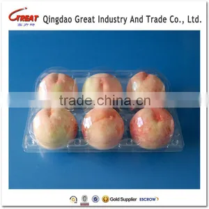 Clear Plastic Kiwi Fruit Packaging Plastic Box PET Plastic Packing Container thumbnail-4