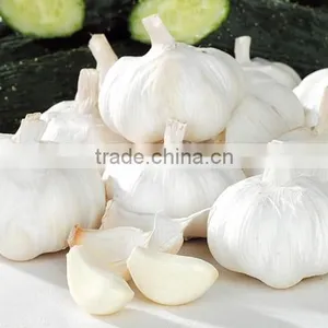 2016FRESH GARLIC thumbnail-4