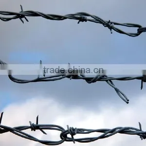 Hot Dipped Galvanized and Powder Coating Barbed Wire Hot Sale thumbnail-2