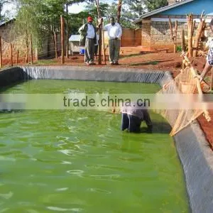 Plastic Fish Ponds for Outdoor Fish Farming thumbnail-1