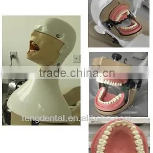 Dental Supply DentalSimulation Manikin AC-P54 thumbnail-1