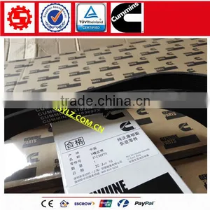 Cummins ISM/QSM/M11 Diesel Engine Belt v Ribbed 3103697 thumbnail-1